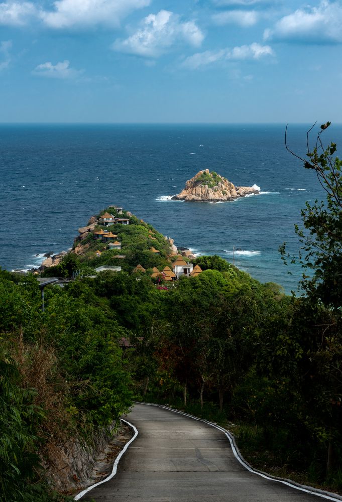 The Road To The Ocean