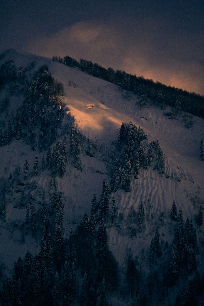 Photograph by Hey Emil