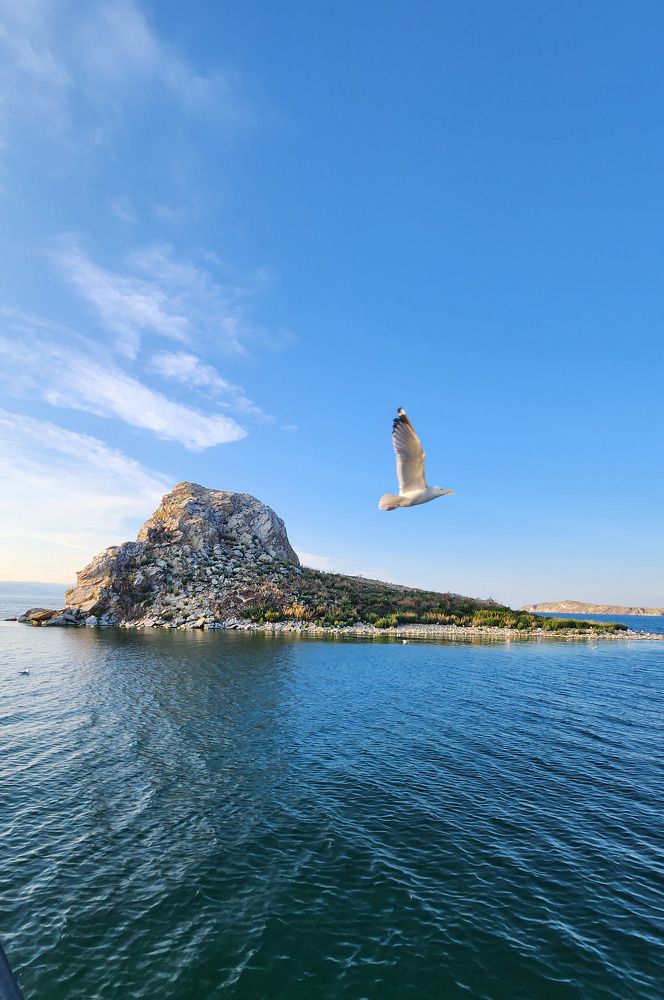 Photograph by Speed Girl