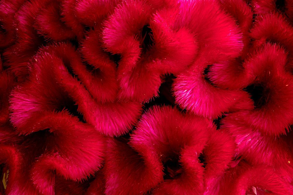 Photograph by Анатолий Костерев