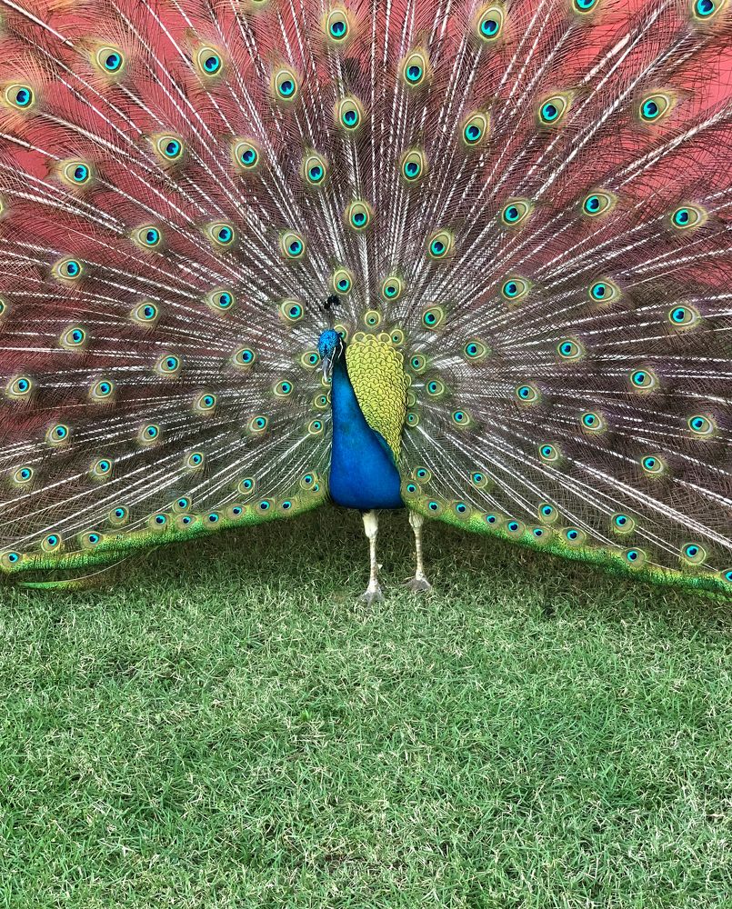 Photograph by Liliana Grup