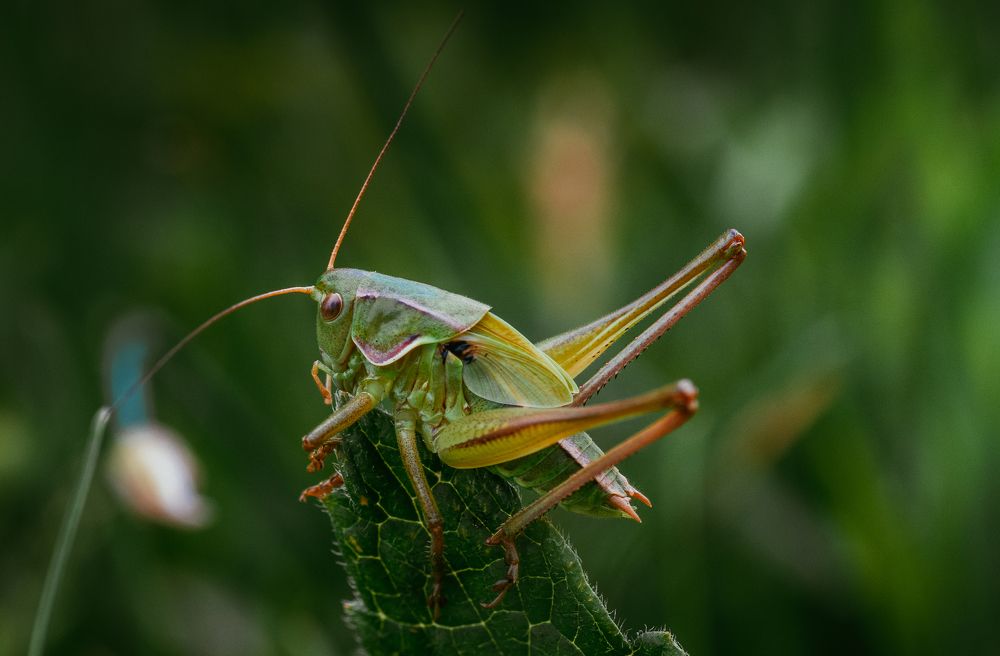 Photograph by Максим Третьяков