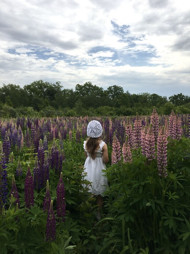 Фотография автора Бакалова Ирина