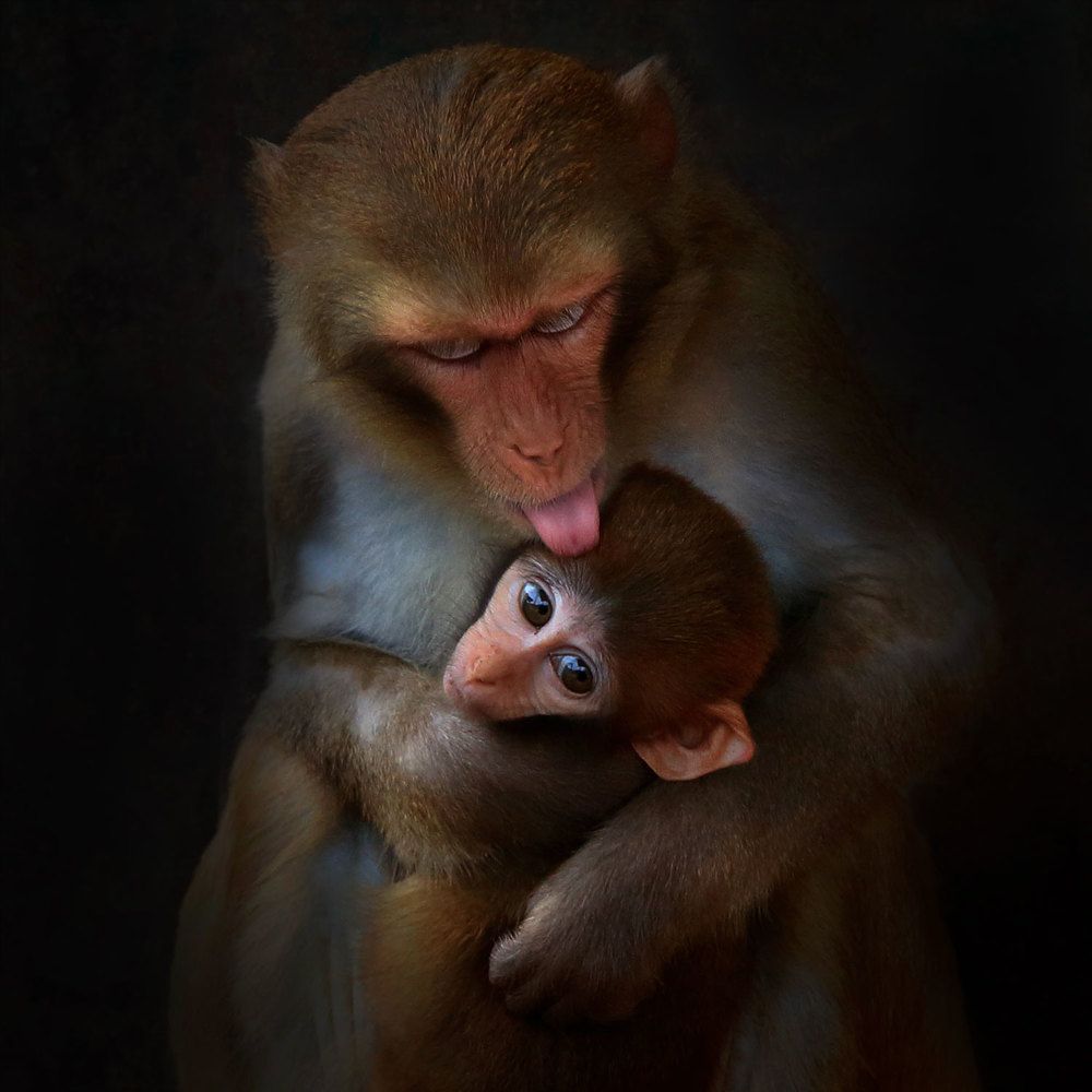 Photograph by Виктор Смирнов