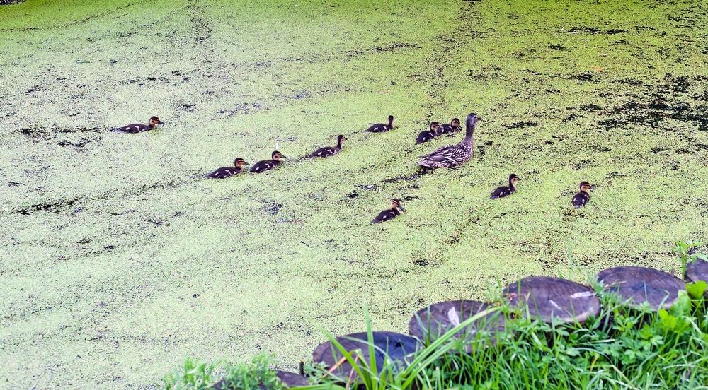 Photograph by Valery Kleymenov