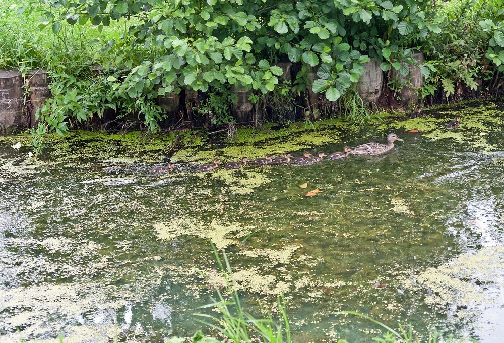 Photograph by Valery Kleymenov