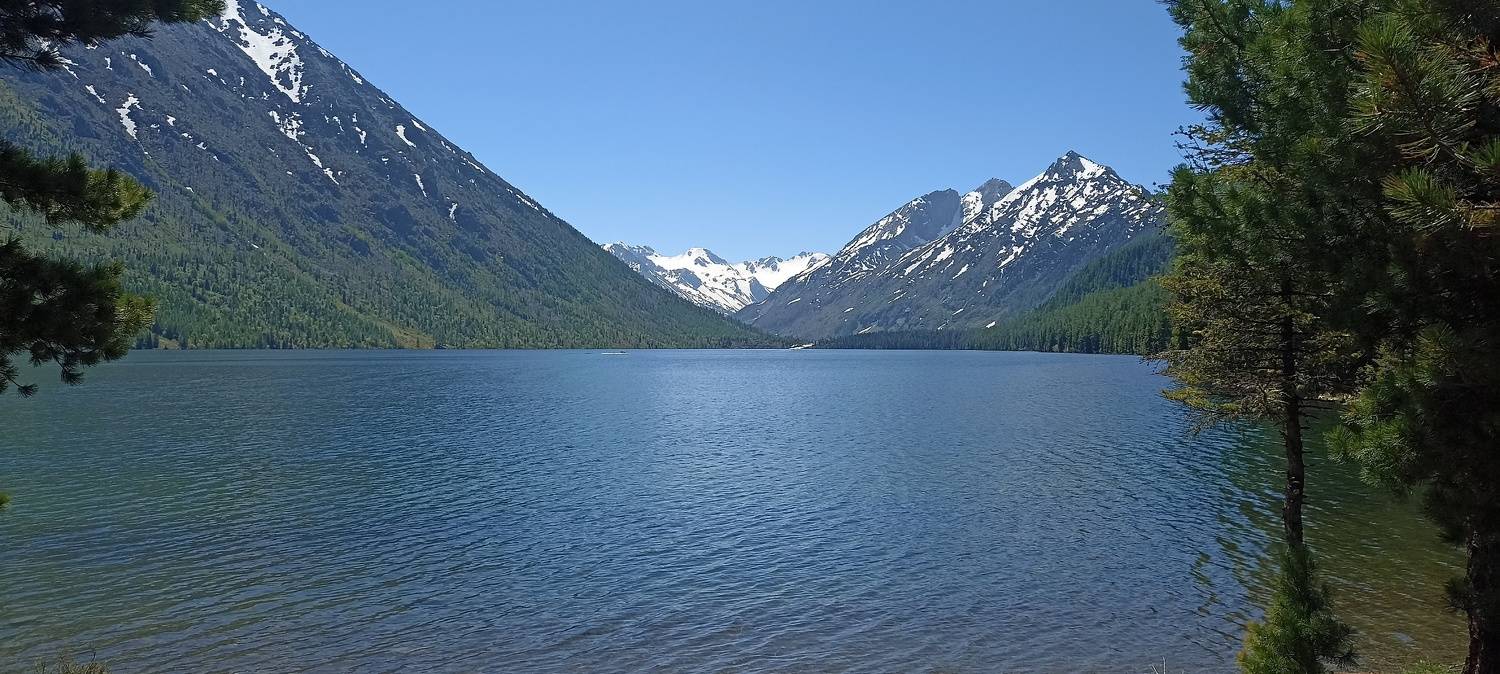 Photo #9385916