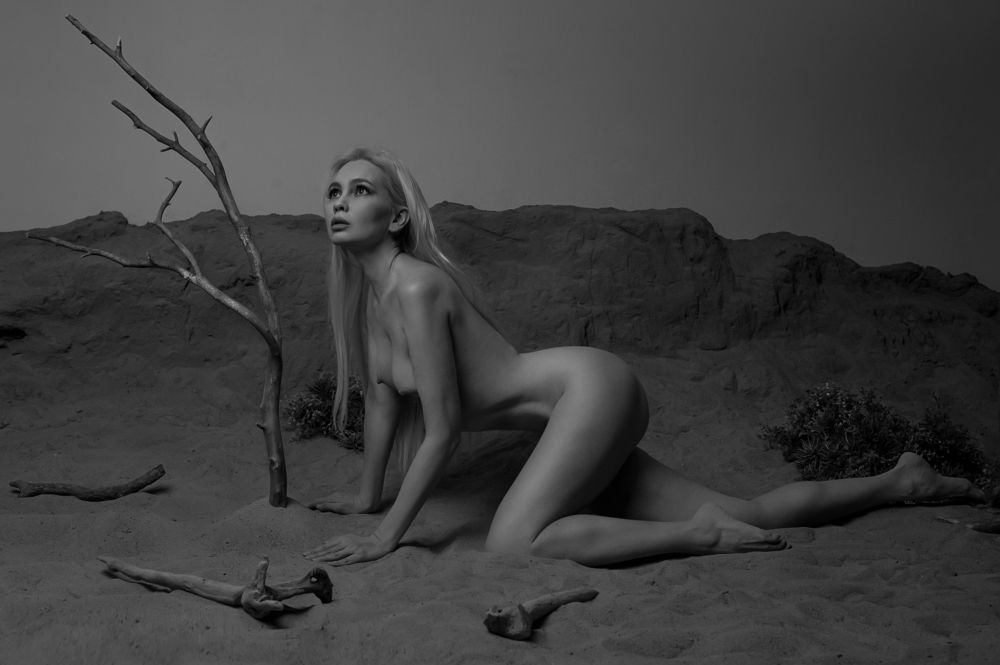 Photograph by Садков Эдуард