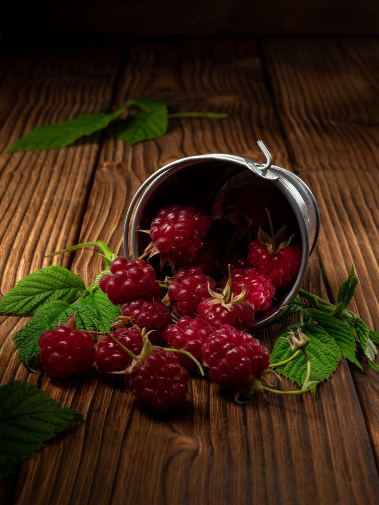 Photograph by Николай Дибров