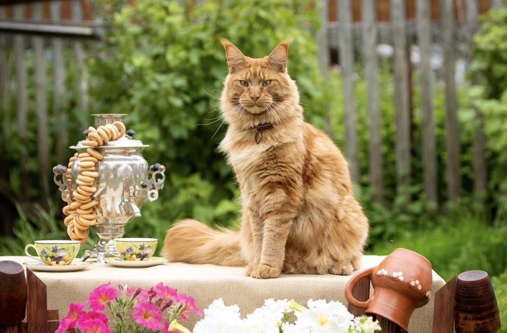 Photograph by Евгения Глинская