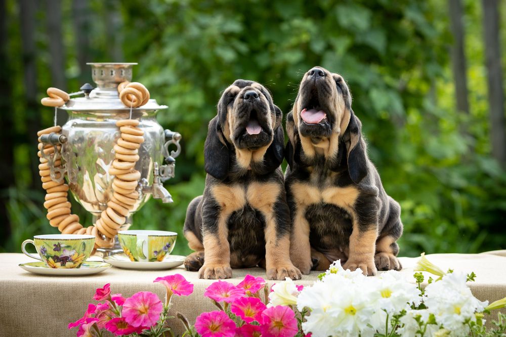 Photograph by Евгения Глинская