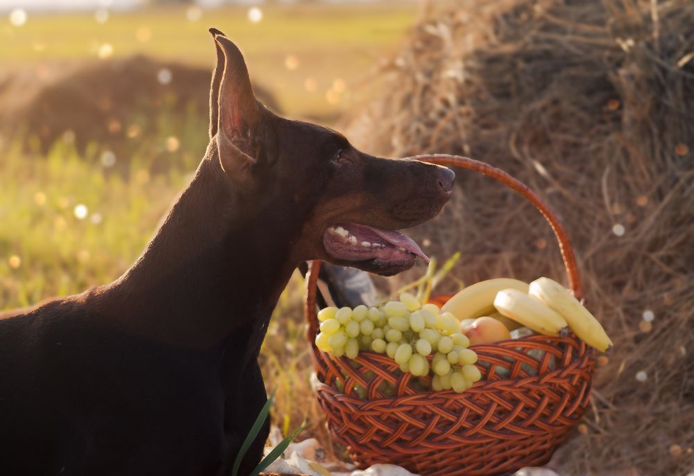 Photograph by Инна Капчинская