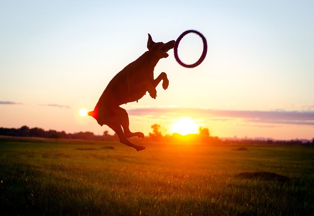 Photograph by Инна Капчинская