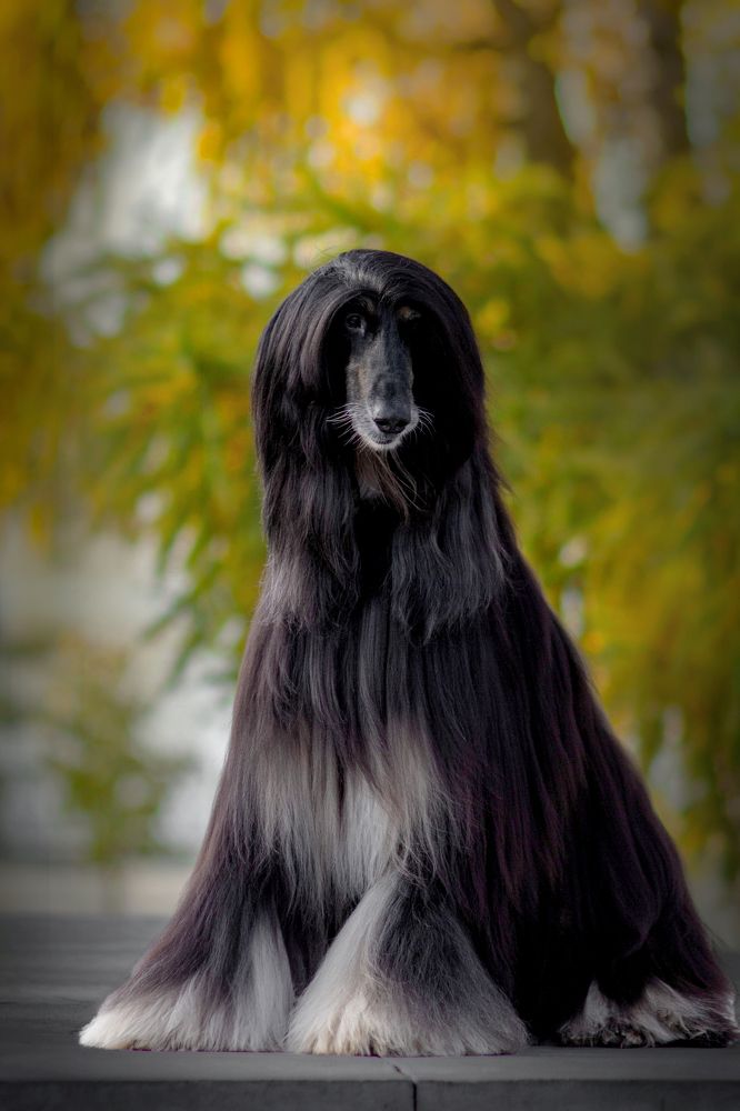 Photograph by Анна Карпенко