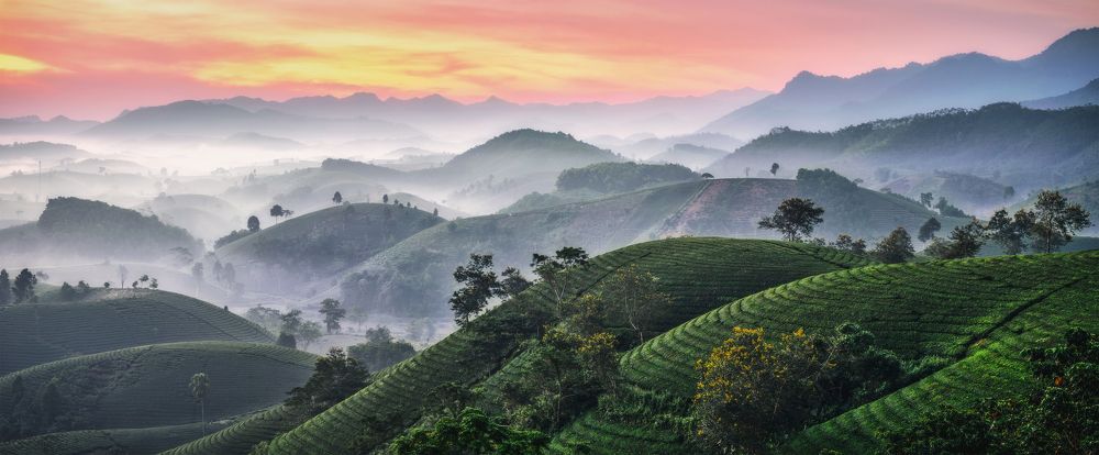 Photograph by Nguyen Ngoc Tuan