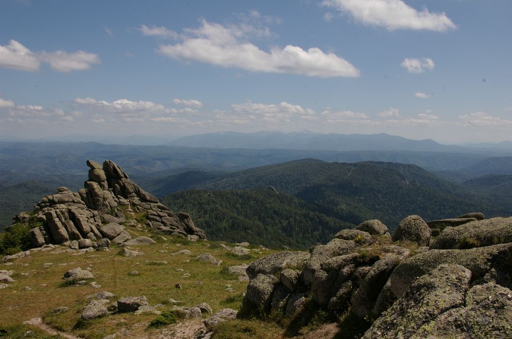 Photograph by Елена Алешкевич