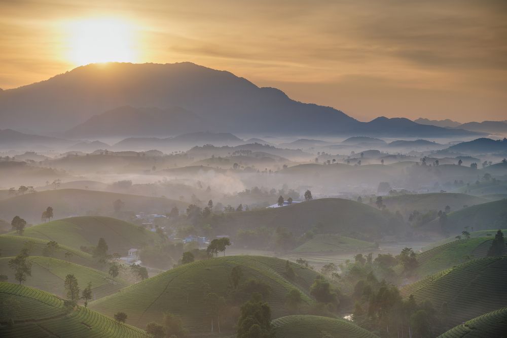 Photograph by Nguyen Ngoc Tuan