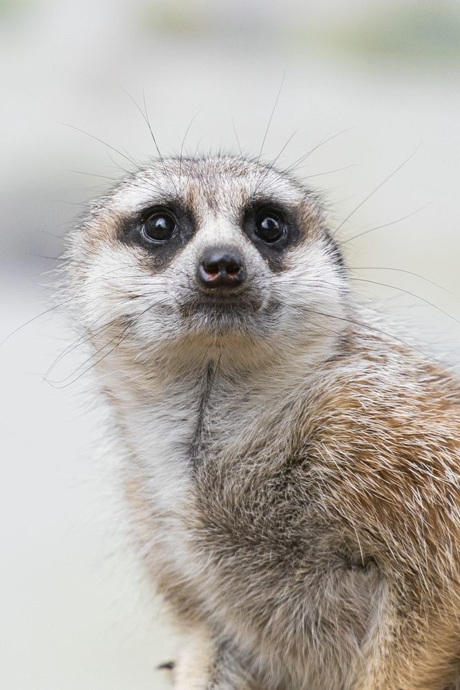 Фотография автора Анна Котлова