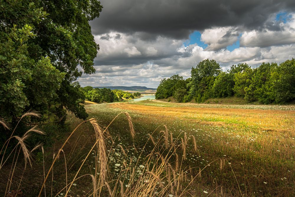 Photograph by Владимир Лысов
