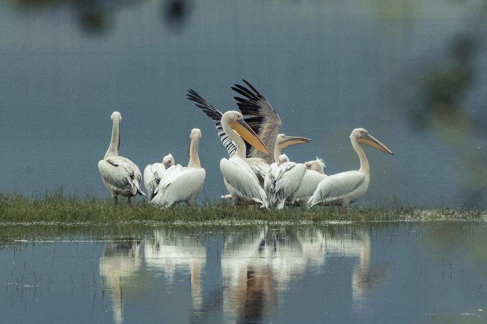 Photograph by Dimitris Vavliaras