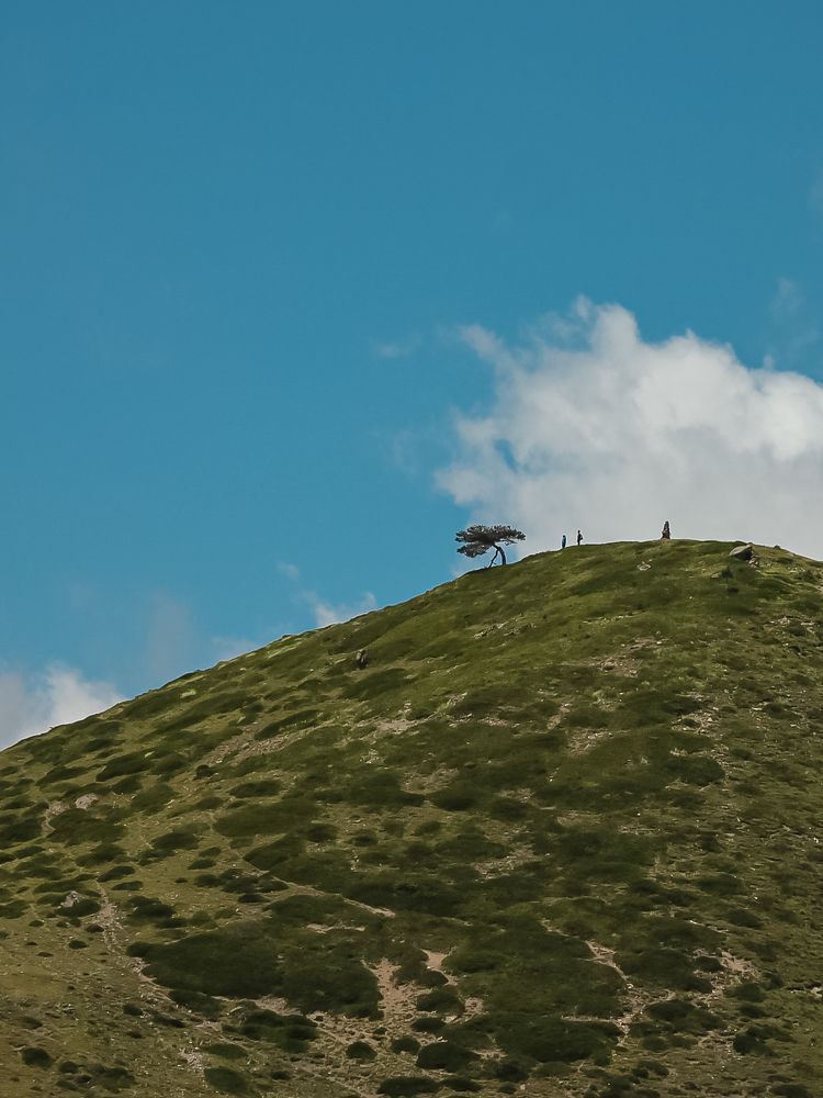 Photograph by Татьяна Долгушева