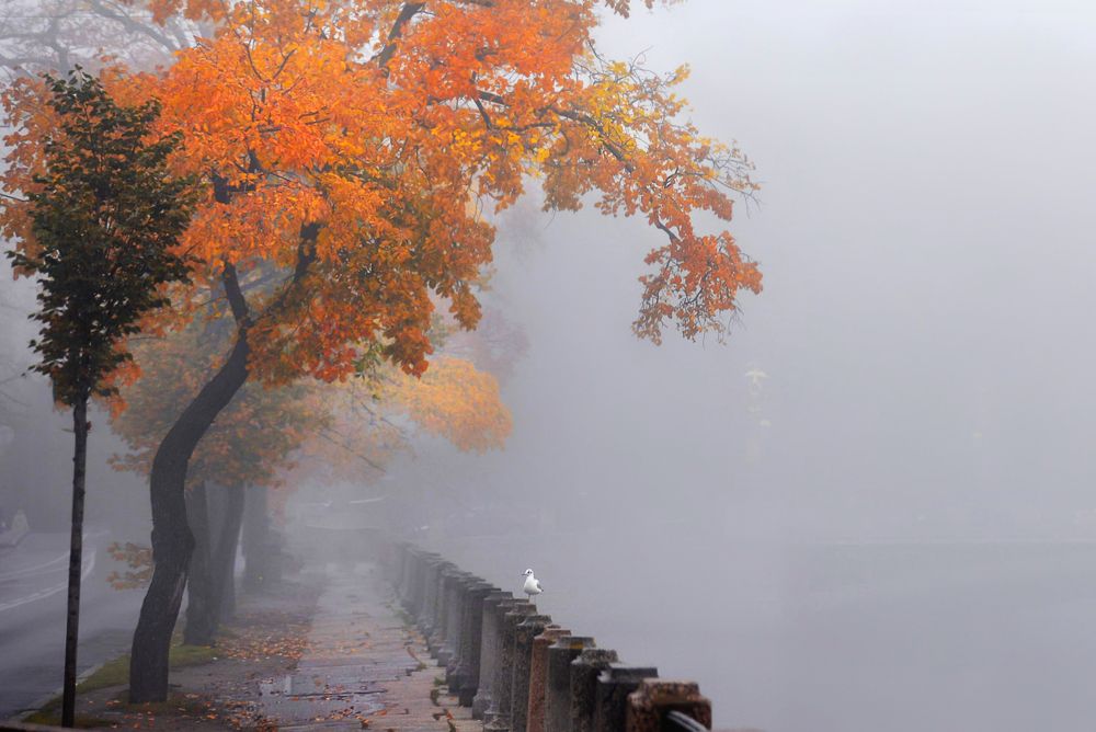 Photograph by Эдуард Гордеев