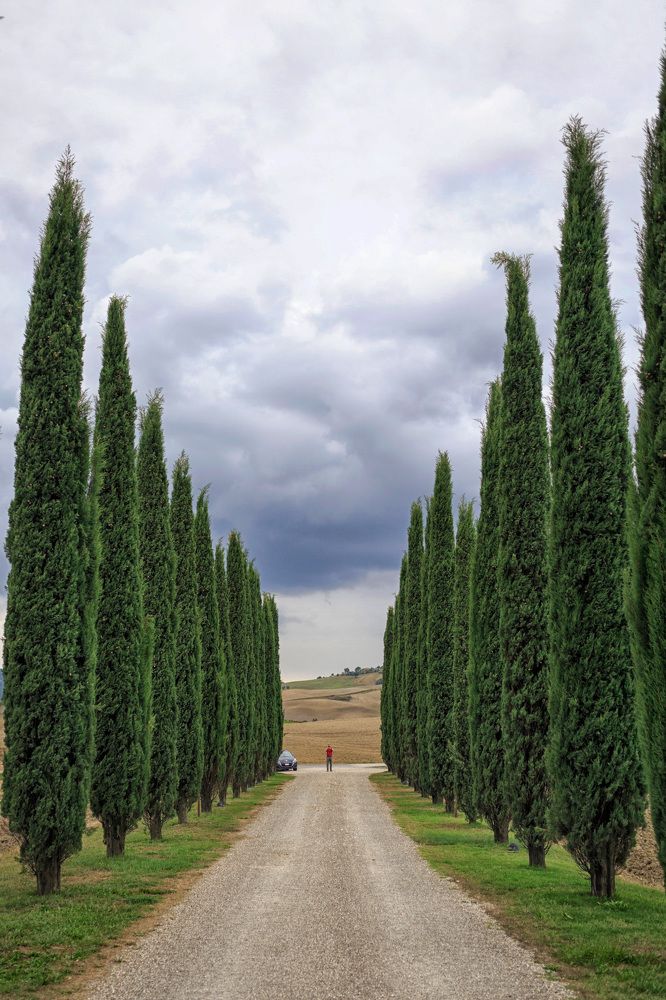 Photograph by Елена Евдокимова