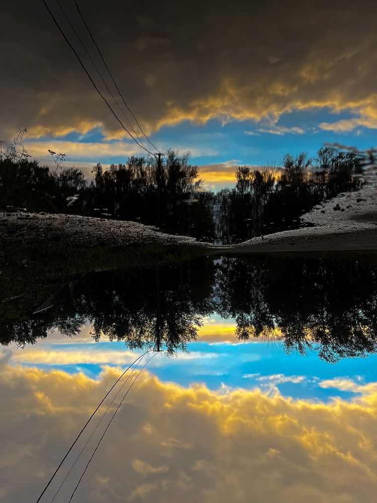 Photograph by Елена Сиушова