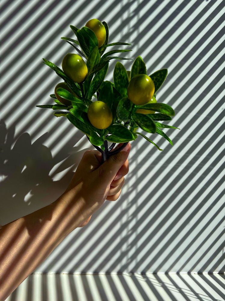 Photograph by Елена Сиушова