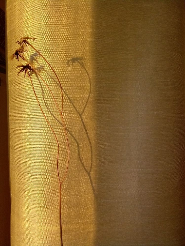 Photograph by Людмила Баглей