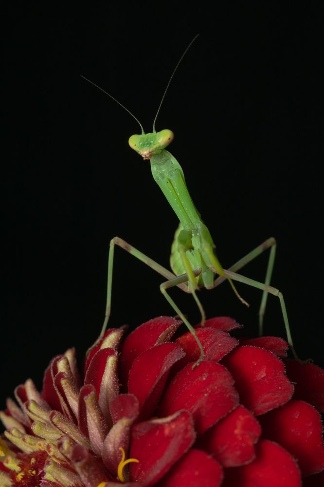 Photograph by Денис Ветренко