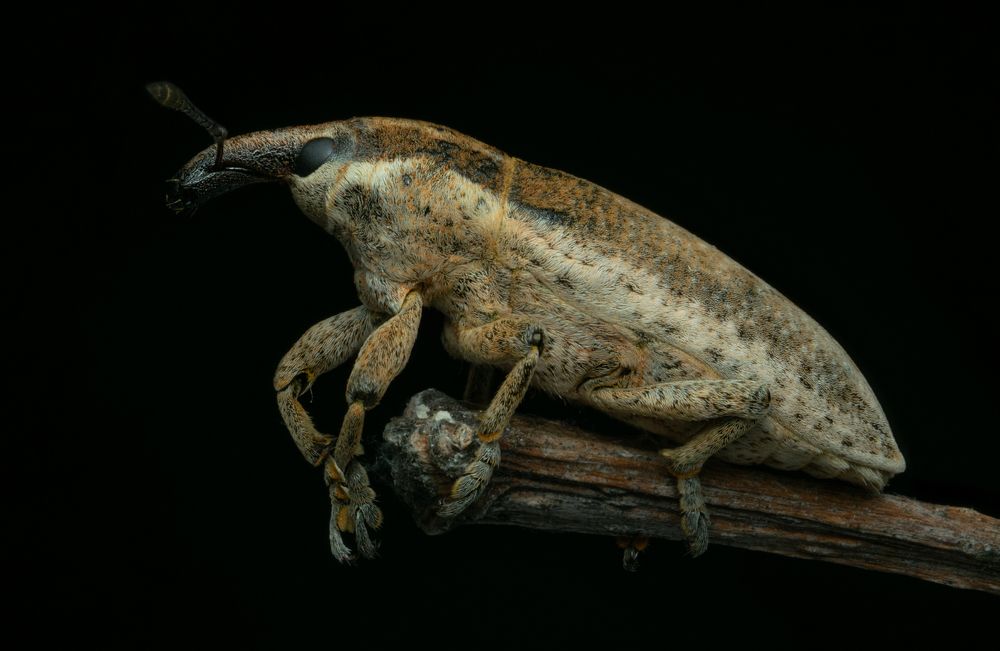 Photograph by Денис Ветренко