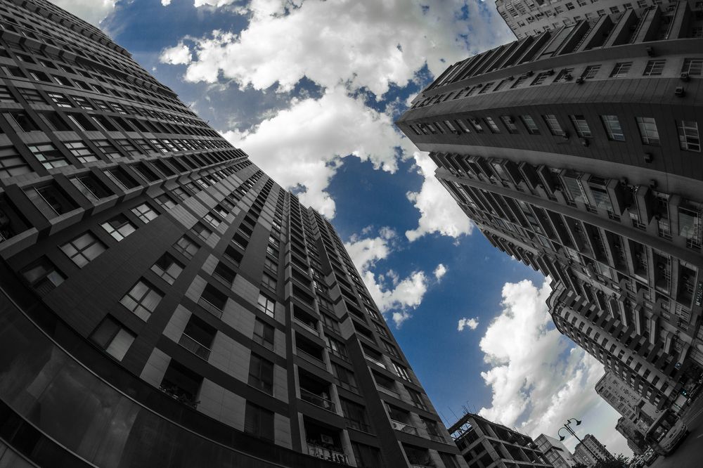 Photograph by Sallys Vision