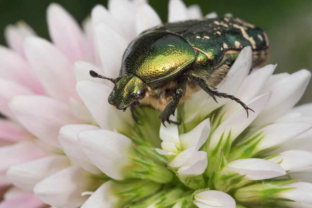 Photograph by Денис Ветренко