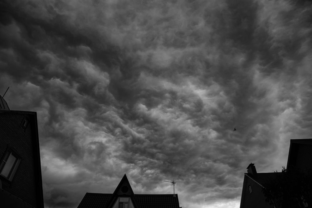 Photograph by Светлана Карнаух