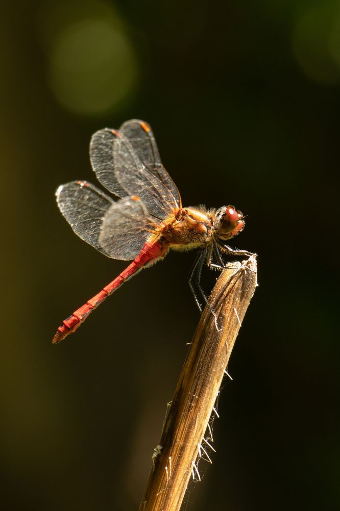 Photograph by Евгения Тимофеева