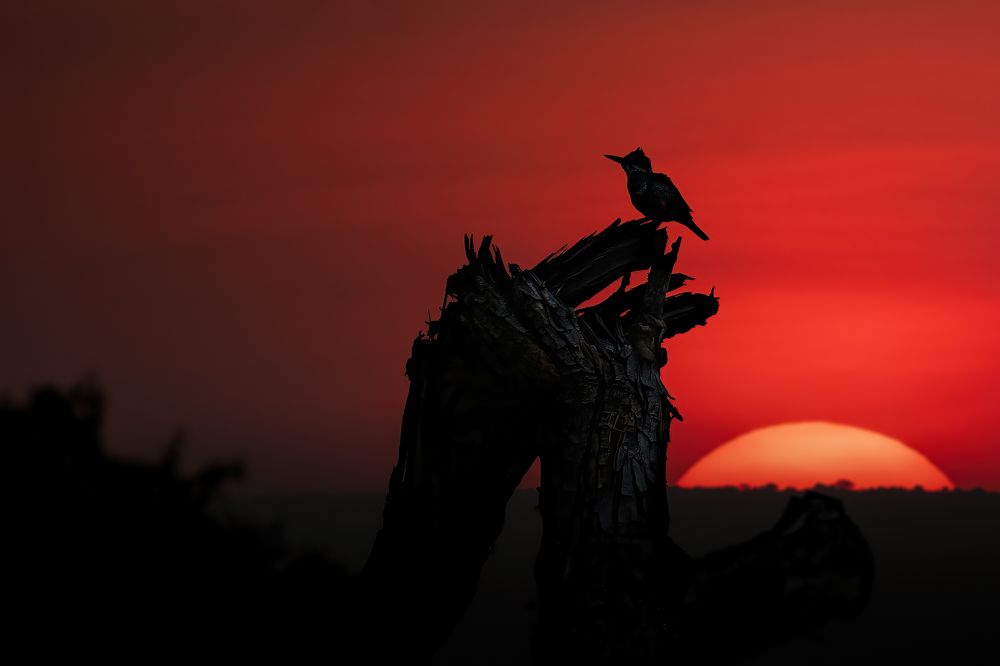 Фотография автора sherif Abdallah