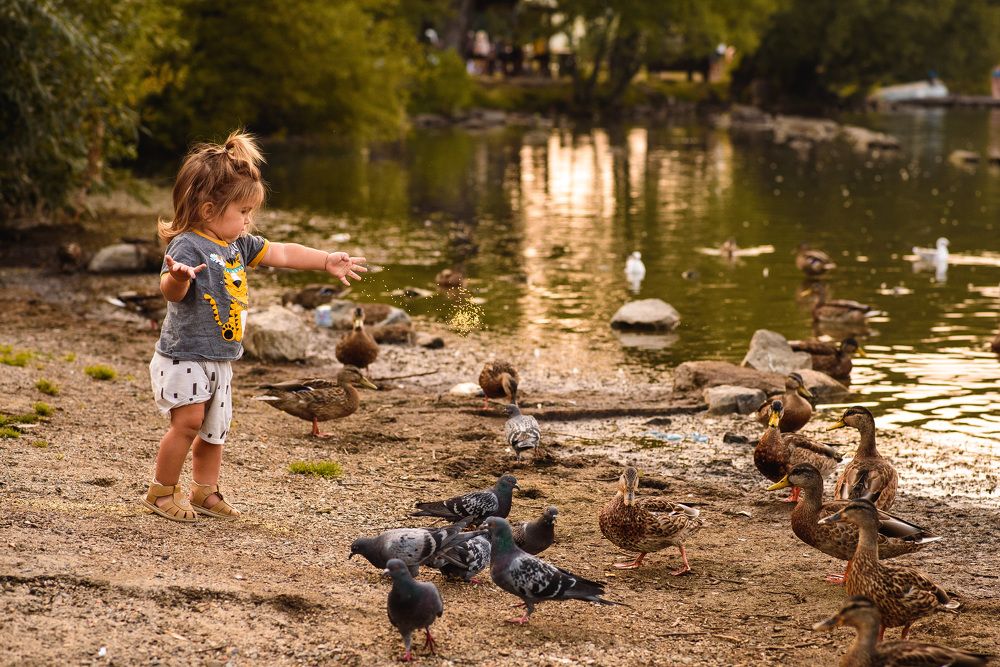 Photograph by Дмитрий Потатуев