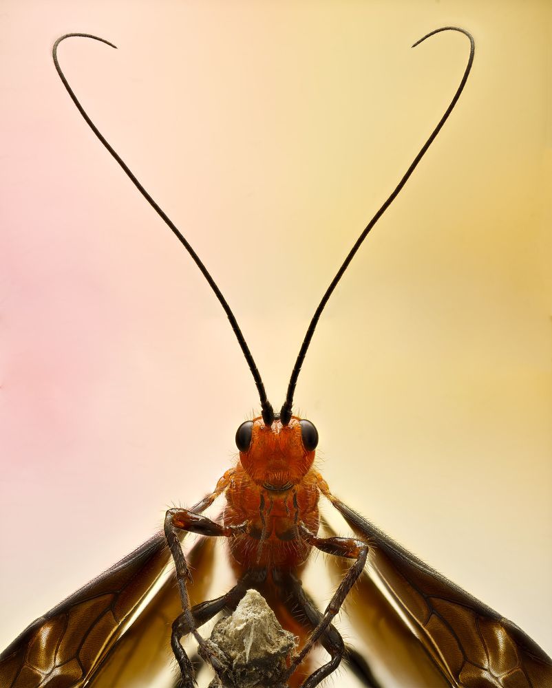 Photograph by Юрий Юрьевич