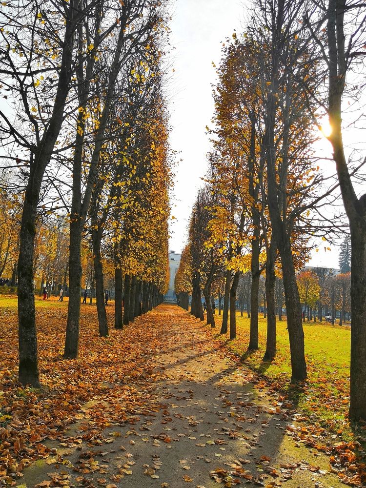 Фотография автора Сергей Можаев