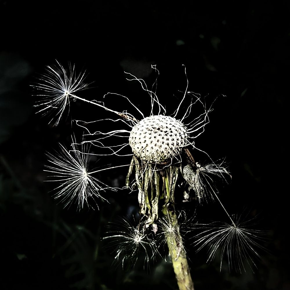 Photograph by Юрий Полушин