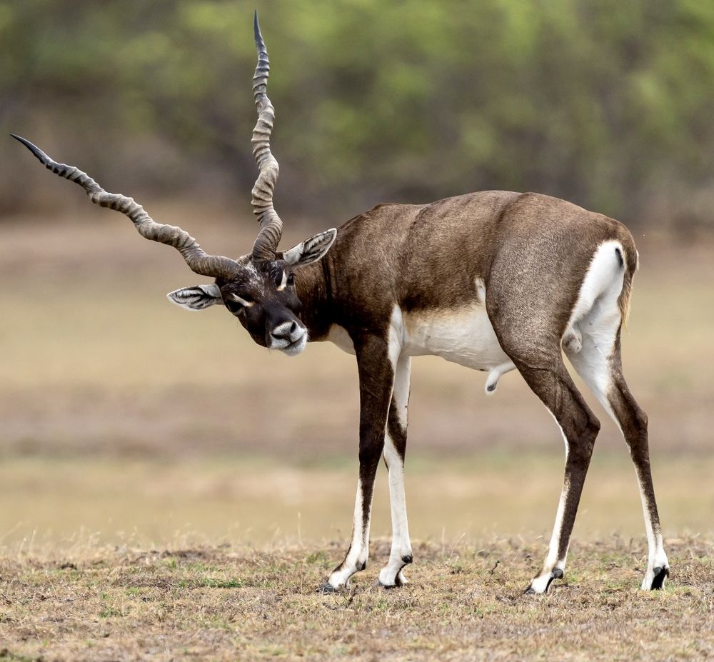 Photograph by Muralitharan M