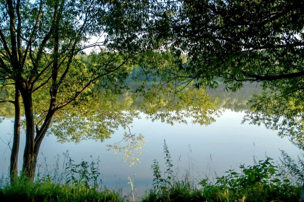 Photograph by Евгений Никонов