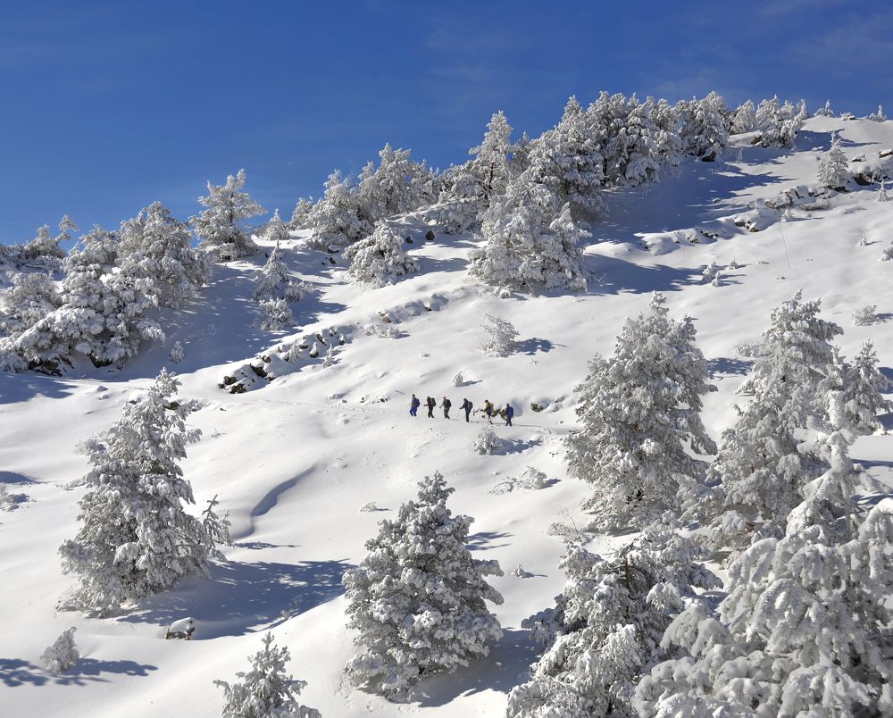 Photograph by Евгений Самулев