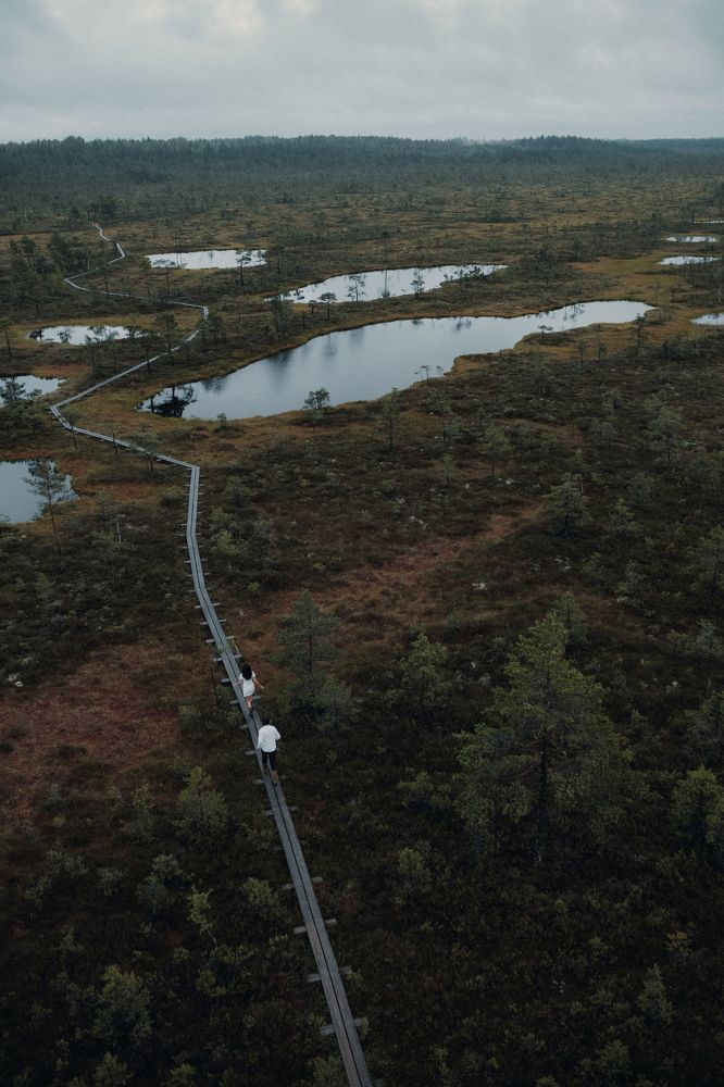 Photograph by Victoria Bereziner