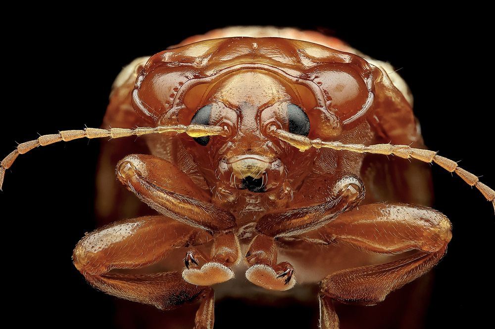 Photograph by Jacob Ng