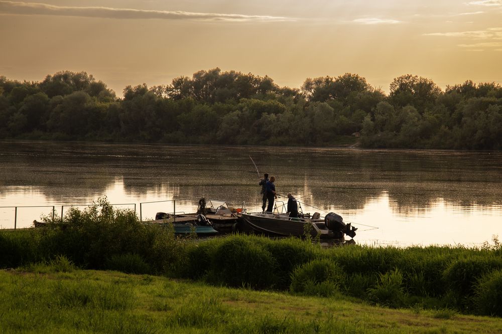 Photograph by Светлана Карнаух