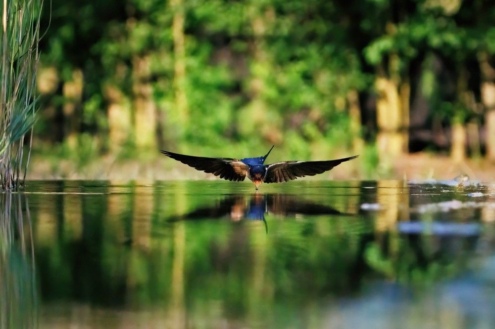 Photograph by Chris Brain