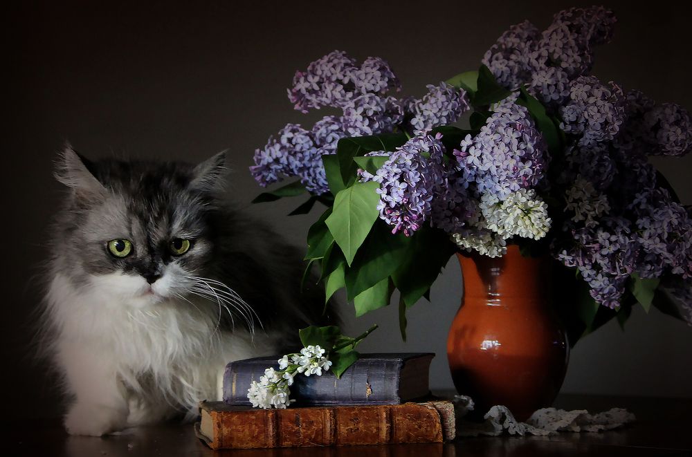 Photograph by Зоя Быкова