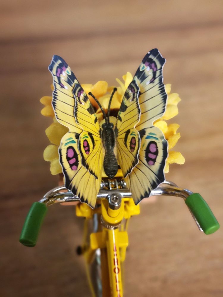 Photograph by Merav Zuberman Perkal